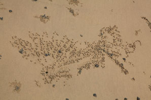 Patronen in het zand op het Tanjung Aru strand in Kota Kinabalu